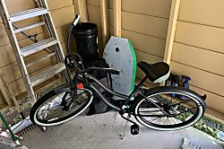 Starlit Skies of Kalapana