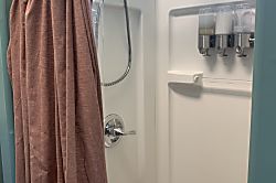 Starlit Skies of Kalapana