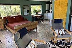 Starlit Skies of Kalapana