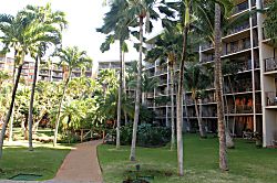 Kaanapali Shores Rental