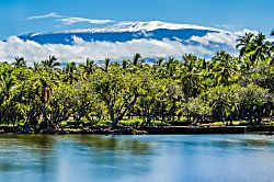 Mauna Lani Terrace E202