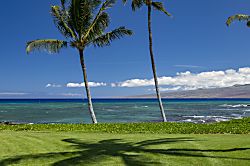 Mauna Lani Terrace E202