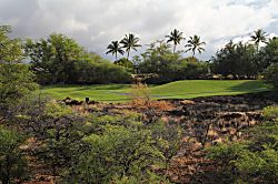 Fairways at Mauna Lani Golf View Townhome