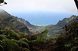 Kauai Wind and Waves 