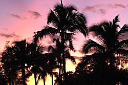 Kauai Wind and Waves 