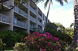 Puako Beach Condo 303