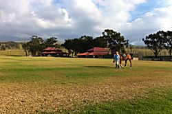 Puako Beach Condo 303