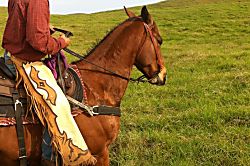 Puako Beach Condo 303