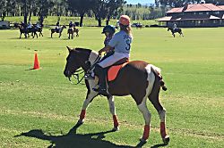 Puako Beach Condo 303