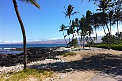 Puako Beach Condo 303