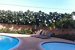 Puako Beach Condo 303