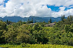 Alii Kai 1, unit 2-203