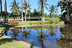 Shores at Waikoloa 206