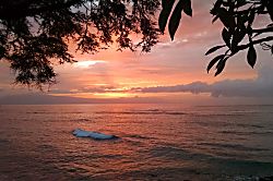 Kuleana Resort Oceanfront Groundfloor Condo