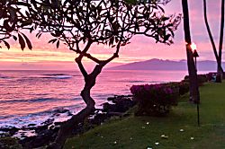 Kuleana Resort Oceanfront Groundfloor Condo