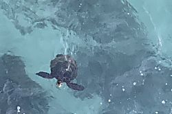 Beach Front-Corner Spoil You!