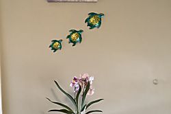 Paradise Ocean View Condo Holualoa Village