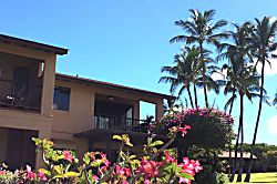 Ekahi Village  Unit 31 D  