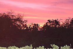 Fairways at Mauna Lani 605
