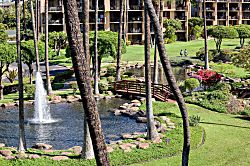 Kamaole Sands 10-302