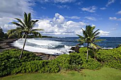 Oceanfront #5 at Hana Kai Maui - 2 BR/2 BA Upper F
