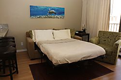 Waikiki Banyan Tower 2 Unit 1606