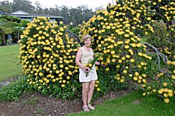 Whaler Condo Penthouse Oceanfront 2B2B