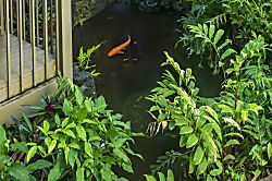 Hana Kai Maui #106