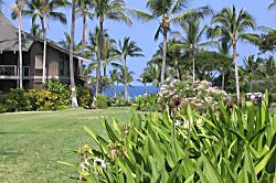 Kanaloa at Kona Family Condo