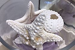 Sugar Beach Resort 234