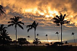 Maui Sunset Condo A219