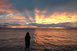 Maui Sunset Condo A219