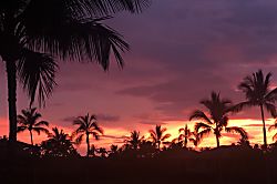 Kohala Coast vacation rental