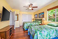 Stunning Kona View House