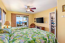 Stunning Kona View House