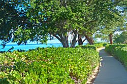 Honua Kai Resort Studio Unit