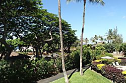 Maui Vista 1202