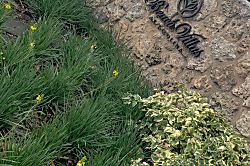 Ko Olina Beach Club O-321