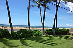Hale Kekaha Palms Ocean Front