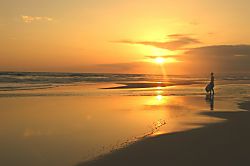 Hale Kekaha Palms Ocean Front