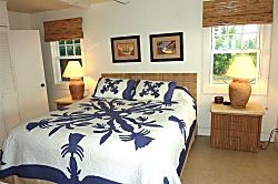 Hale Kekaha Palms Ocean Front