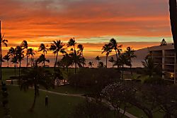 Maui Sunset B117