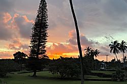Prince Kuhio 112