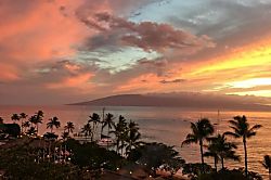 Whaler #963 OceanView Studio