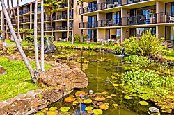 Papakea Resort Unit C-108