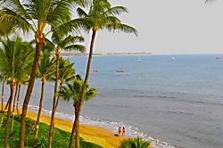 Sugar Beach Resort 527