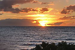 Grand Champions #157