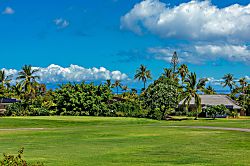 Grand Champions #157