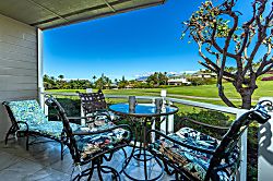 Grand Champions #157