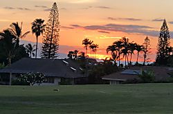 Grand Champions #157